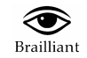 Picture of Brailliant Project