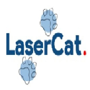 Picture of LaserCat Project
