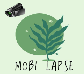 Picture of Moby laps Project